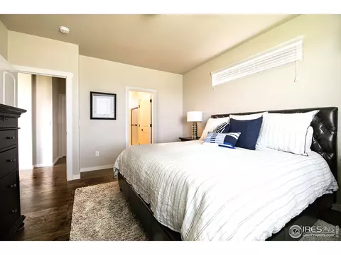 916 Barn Yard Dr, Windsor, CO 80550 photo 11