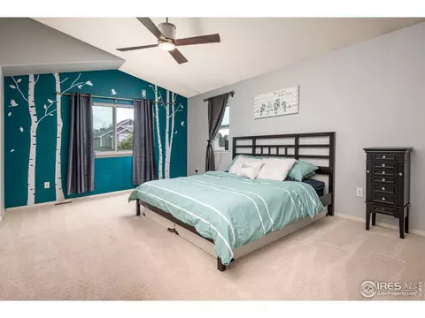 10411 Foxfire St, Firestone, CO 80504 photo 13