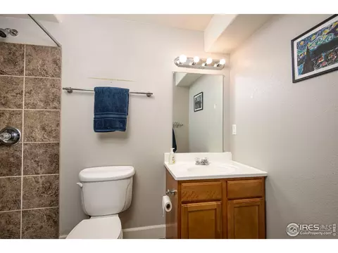 10411 Foxfire St, Firestone, CO 80504 photo 22