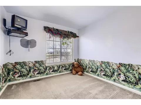 20404 E 49th Ave, Denver, CO 80249 photo 18