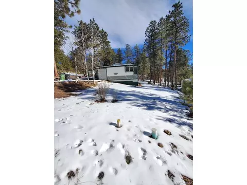162 Green St, Bailey, CO 80421