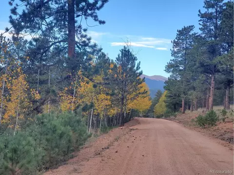 162 Green St, Bailey, CO 80421 photo 9