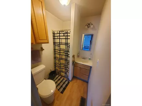 162 Green St, Bailey, CO 80421 photo 6