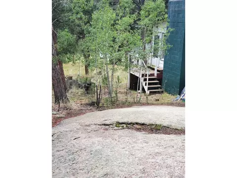 162 Green St, Bailey, CO 80421 photo 8