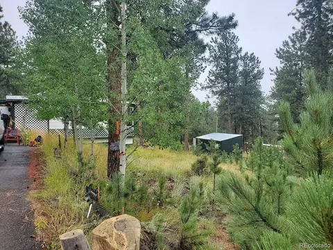162 Green St, Bailey, CO 80421 photo 4
