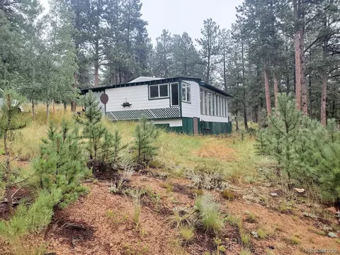 162 Green St, Bailey, CO 80421 photo 3