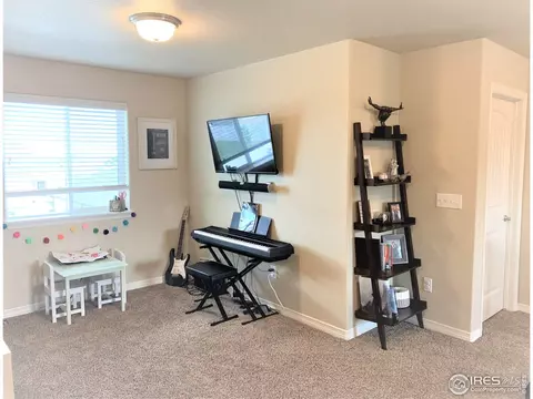 5469 Clarence Dr, Windsor, CO 80550 photo 30
