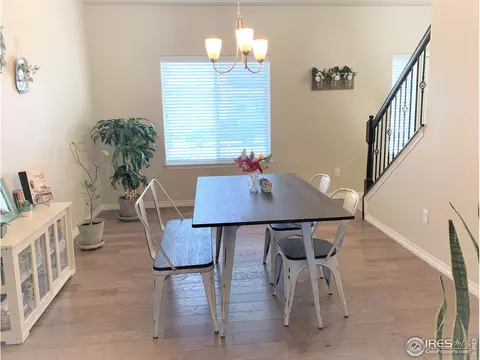 5469 Clarence Dr, Windsor, CO 80550 photo 13