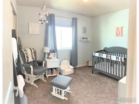 5469 Clarence Dr, Windsor, CO 80550 photo 33