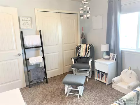 5469 Clarence Dr, Windsor, CO 80550 photo 34