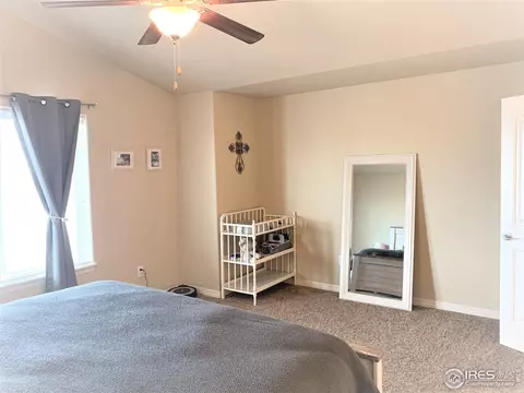 5469 Clarence Dr, Windsor, CO 80550 photo 26