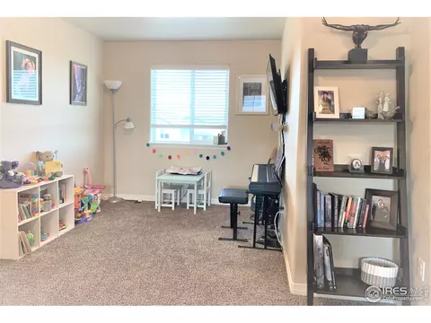 5469 Clarence Dr, Windsor, CO 80550 photo 31
