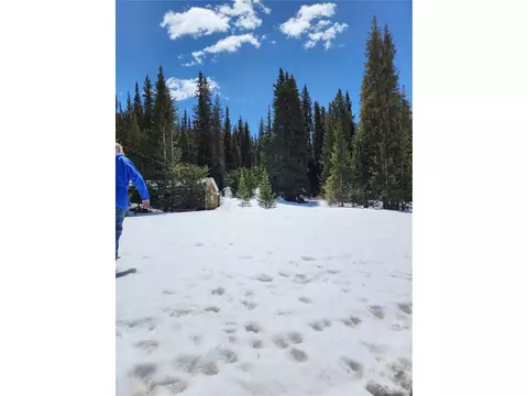 Montezuma Dr, Montezuma, CO 80435