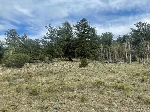 4193 Goldenburg Canyon Rd, Hartsel, CO 80449