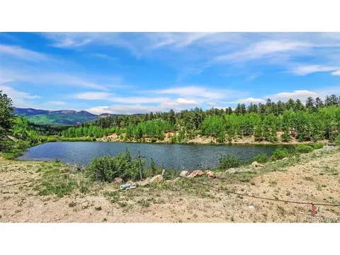 View/Area - 277 Houston St, Bailey, CO 80421 photo 2 of 2