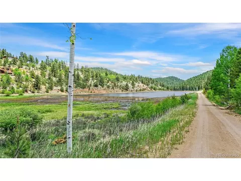 View/Area - 277 Houston St, Bailey, CO 80421 photo 1 of 2