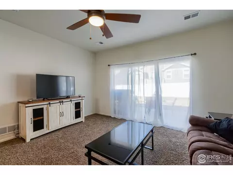 923 Mt Shavano Ave, Severance, CO 80550 photo 19