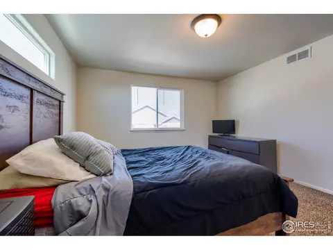923 Mt Shavano Ave, Severance, CO 80550 photo 26