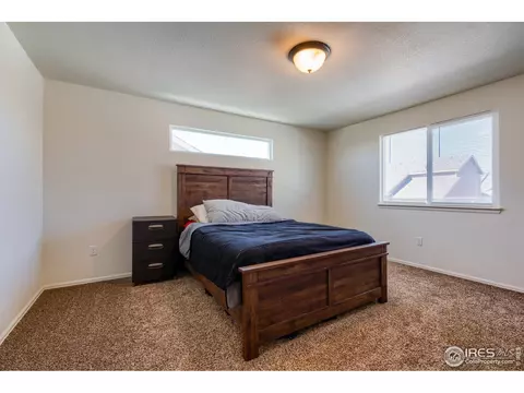 923 Mt Shavano Ave, Severance, CO 80550 photo 24