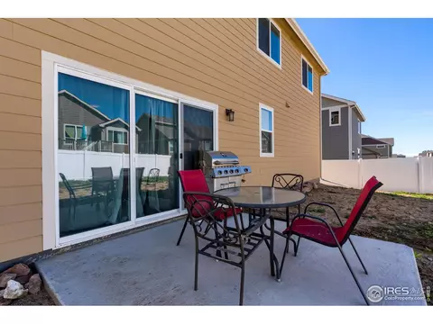 923 Mt Shavano Ave, Severance, CO 80550 photo 35