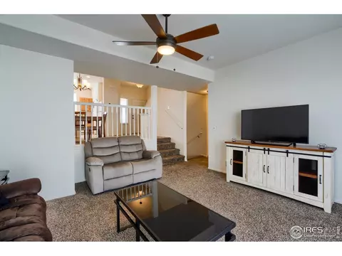 923 Mt Shavano Ave, Severance, CO 80550 photo 17
