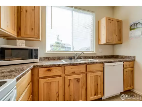 923 Mt Shavano Ave, Severance, CO 80550 photo 10