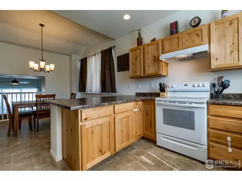 923 Mt Shavano Ave, Severance, CO 80550 photo 7