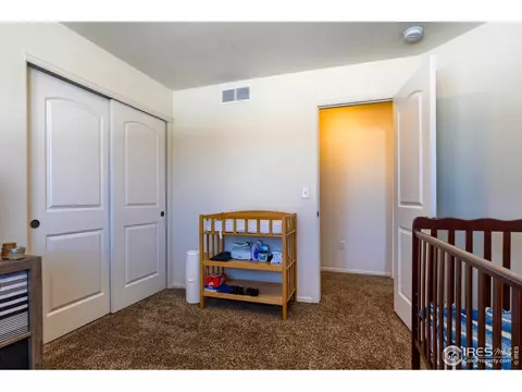 923 Mt Shavano Ave, Severance, CO 80550 photo 30