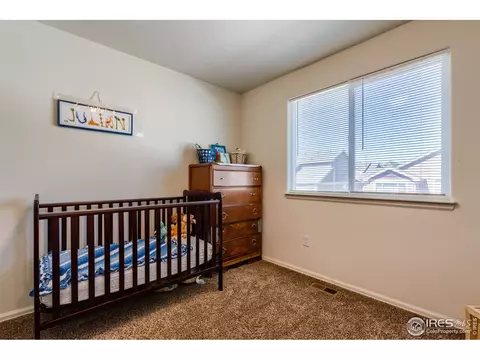 923 Mt Shavano Ave, Severance, CO 80550 photo 28