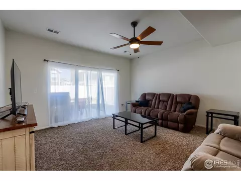 923 Mt Shavano Ave, Severance, CO 80550 photo 18