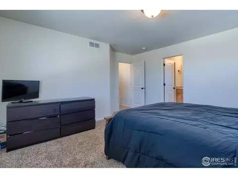 923 Mt Shavano Ave, Severance, CO 80550 photo 25
