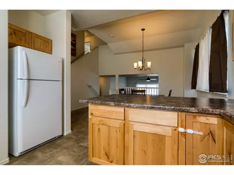 923 Mt Shavano Ave, Severance, CO 80550 photo 12
