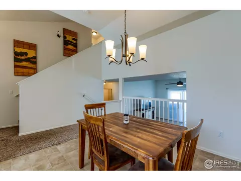 923 Mt Shavano Ave, Severance, CO 80550 photo 16