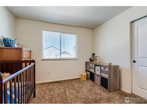 923 Mt Shavano Ave, Severance, CO 80550 photo 29