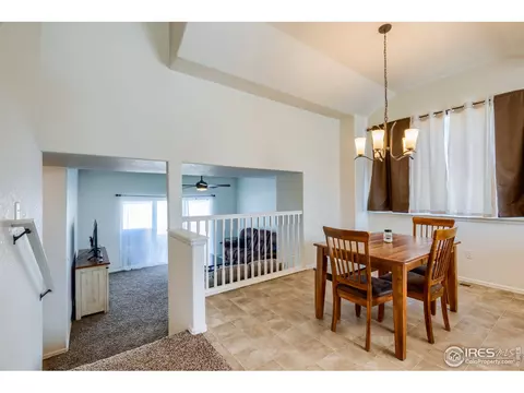 923 Mt Shavano Ave, Severance, CO 80550 photo 15