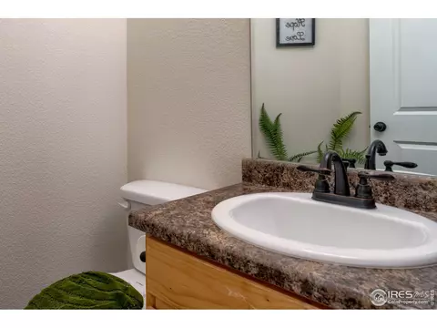 923 Mt Shavano Ave, Severance, CO 80550 photo 21