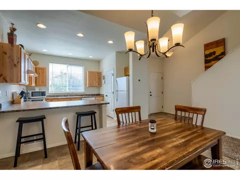 923 Mt Shavano Ave, Severance, CO 80550 photo 14