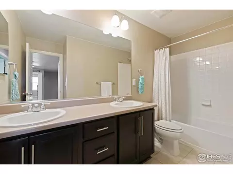2161 Longfin Dr, Windsor, CO 80550 photo 26