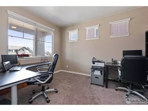 2161 Longfin Dr, Windsor, CO 80550 photo 16