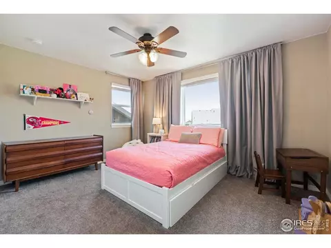 2161 Longfin Dr, Windsor, CO 80550 photo 24