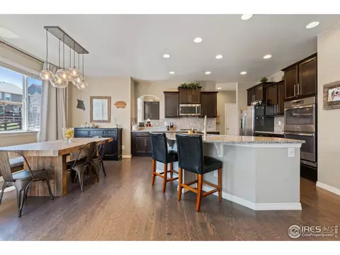 2161 Longfin Dr, Windsor, CO 80550 photo 19