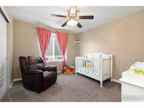 2161 Longfin Dr, Windsor, CO 80550 photo 27
