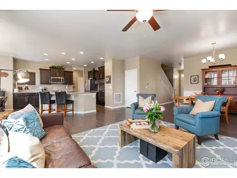 2161 Longfin Dr, Windsor, CO 80550 photo 6