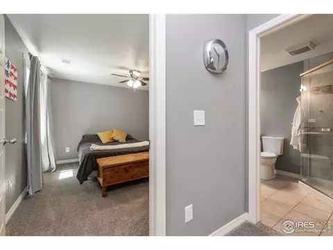 2161 Longfin Dr, Windsor, CO 80550 photo 34
