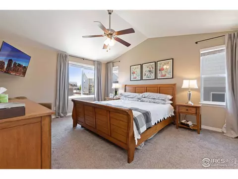 2161 Longfin Dr, Windsor, CO 80550 photo 21