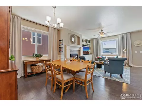 2161 Longfin Dr, Windsor, CO 80550 photo 13