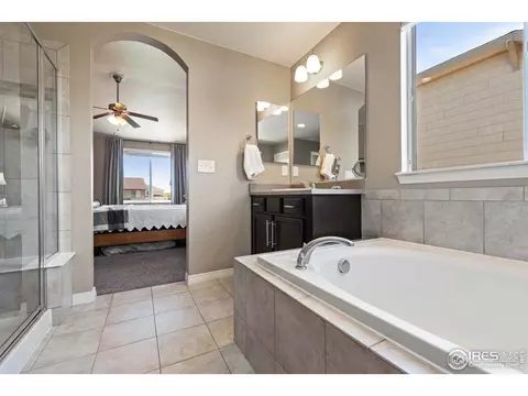 2161 Longfin Dr, Windsor, CO 80550 photo 23