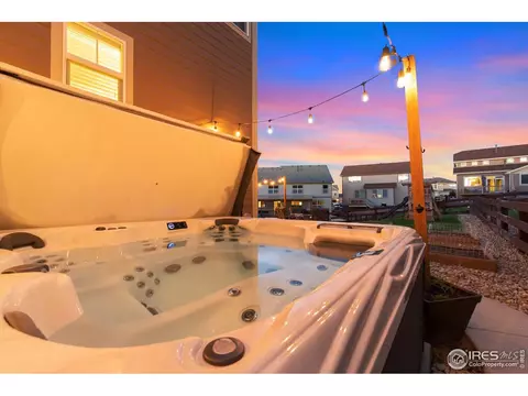 2161 Longfin Dr, Windsor, CO 80550 photo 36