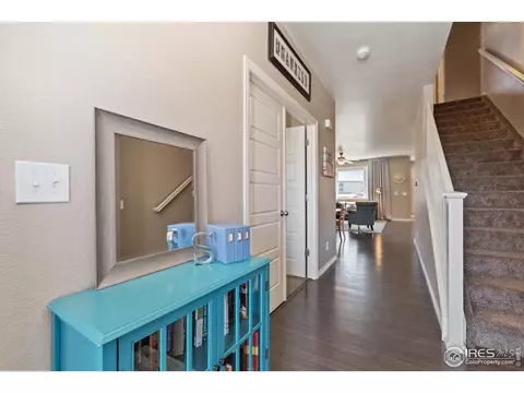 2161 Longfin Dr, Windsor, CO 80550 photo 5