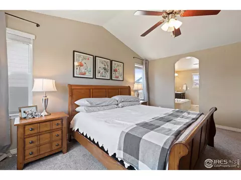 2161 Longfin Dr, Windsor, CO 80550 photo 20
